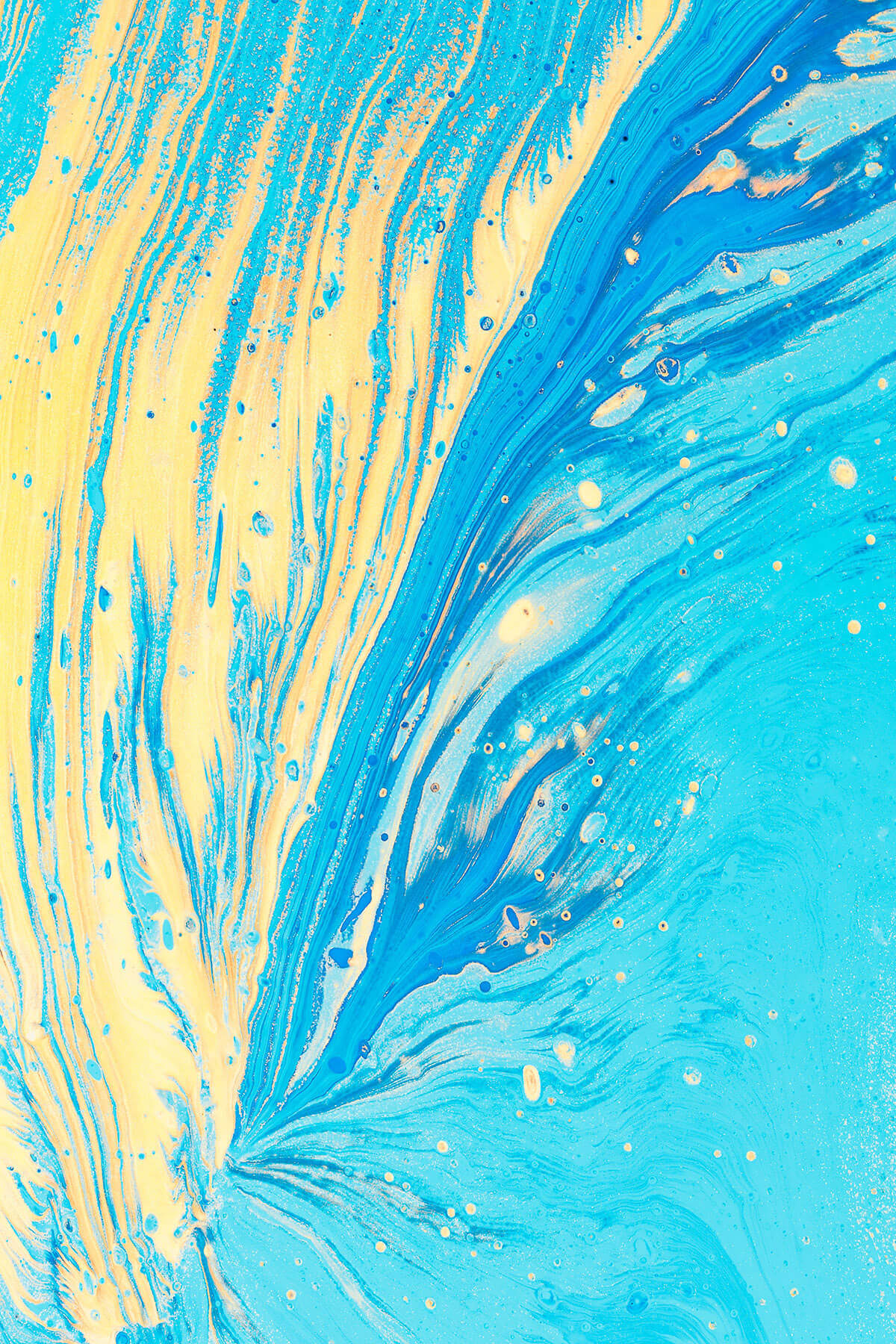 Best Arts Every Designer